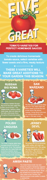 5 Great Tomatos varieties for great sauce