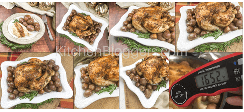Lemon Pepper Roasted Chicken PLR Recipe with Photos 