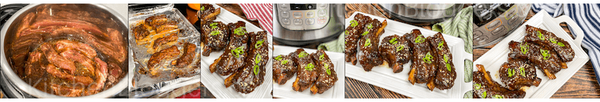 Asian-Style Sticky Ribs PLR Recipe with Photos
